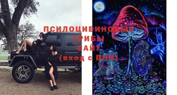 дживик Нея