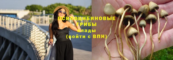 дживик Нея