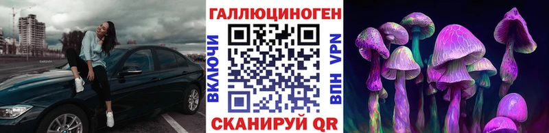 Галлюциногенные грибы MAGIC MUSHROOMS  где продают наркотики  Николаевск 